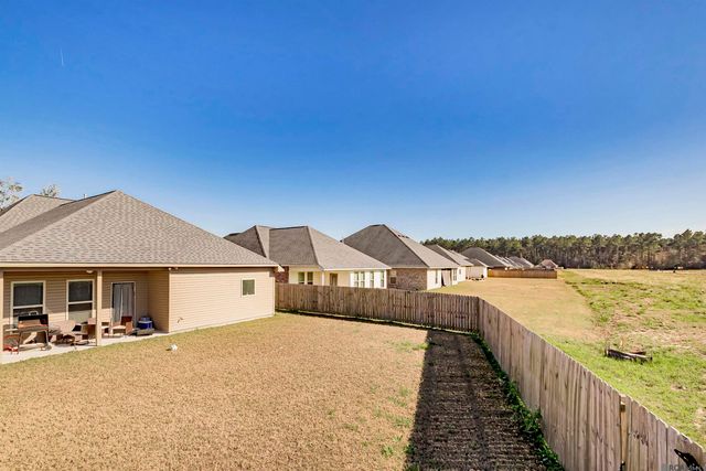 23449 Odette Ave, Denham Springs, LA 70726