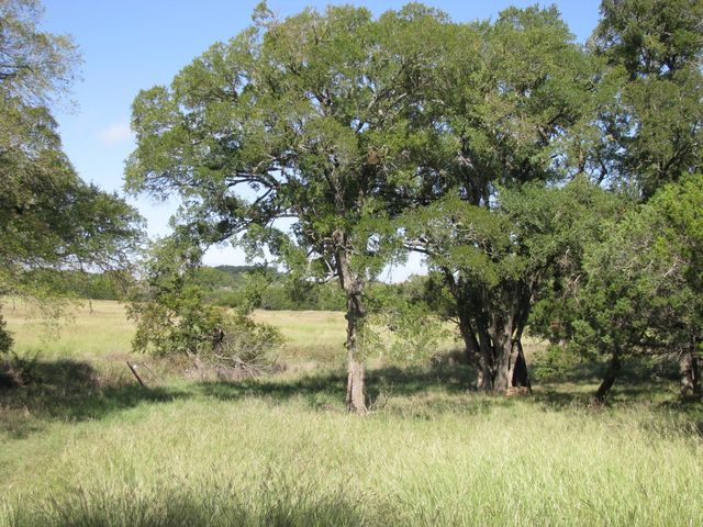 4463 County Road 158, Evant, TX 76525