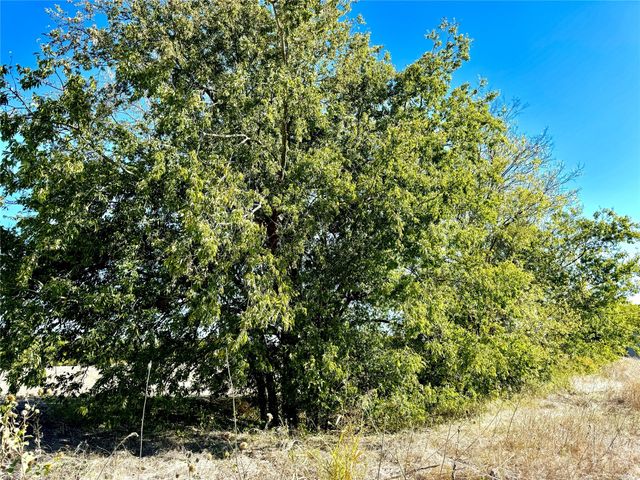 Lot 10 CR-590, Nevada, TX 75173