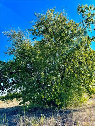Lot 10 CR-590, Nevada, TX 75173