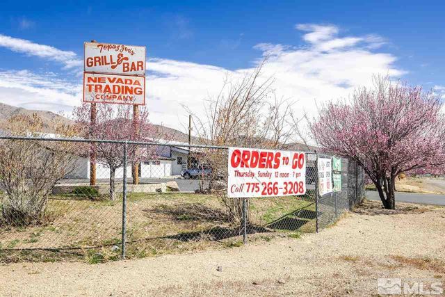3900 Carter Way, Wellington, NV 89444