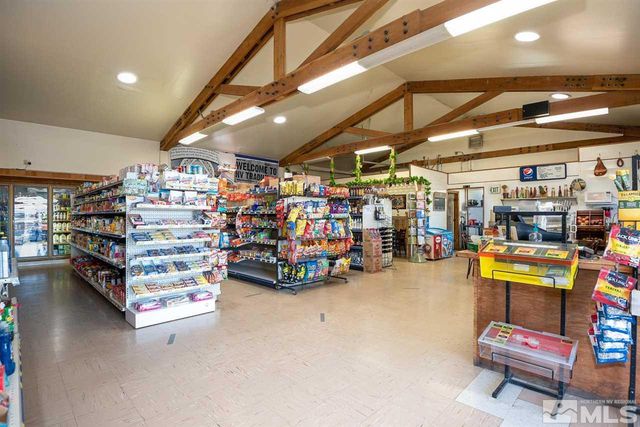 3900 Carter Way, Wellington, NV 89444