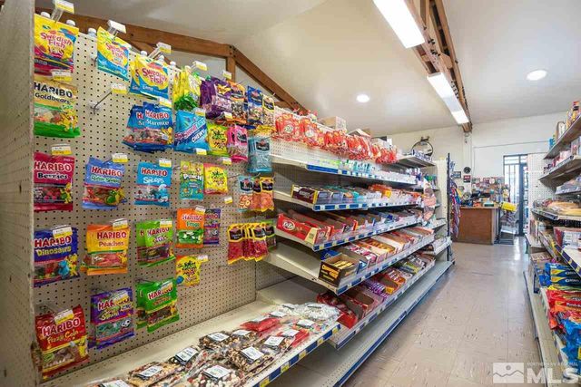 3900 Carter Way, Wellington, NV 89444