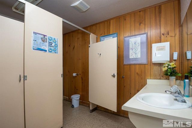 3900 Carter Way, Wellington, NV 89444