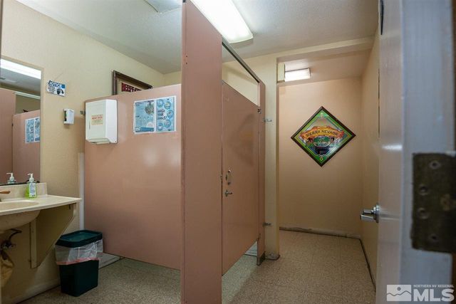 3900 Carter Way, Wellington, NV 89444