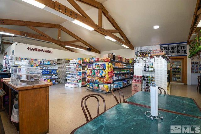 3900 Carter Way, Wellington, NV 89444
