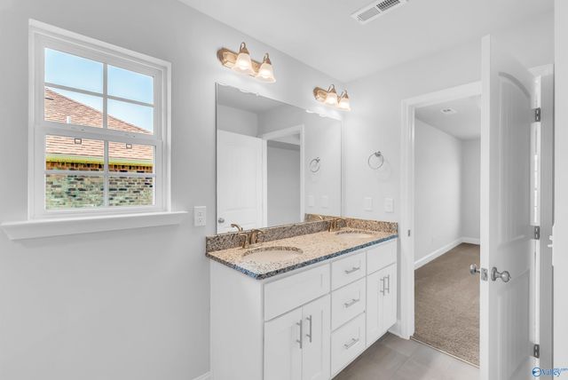 28895 Nature Trail Drive, Harvest, AL 35749