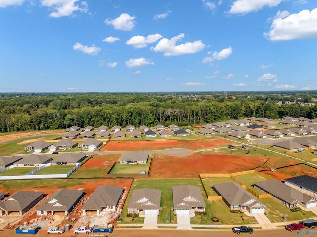 28895 Nature Trail Drive, Harvest, AL 35749