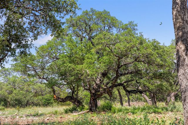 Lot 7 Pedernales Canyon TRL Lot 7, Spicewood, TX 78669