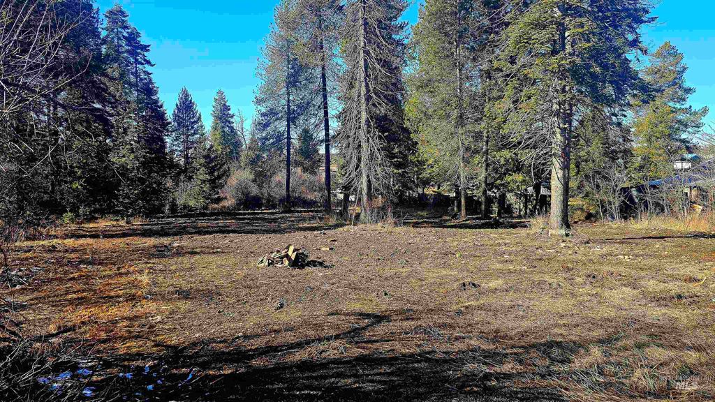 92 Rouleau Loop, Weippe, ID 83531