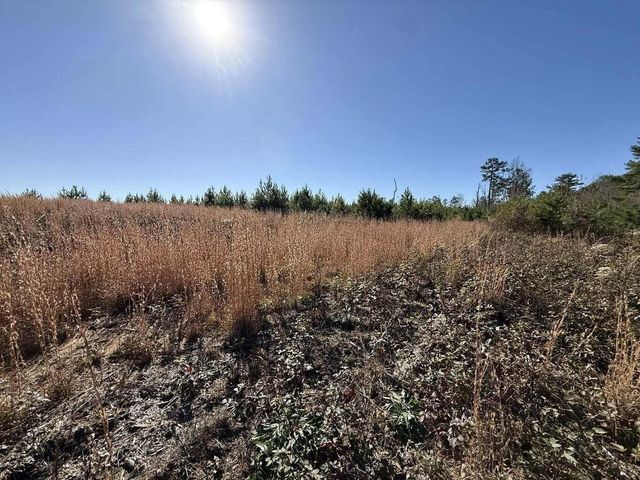 0 St Rt 399, Dunlap, TN 37327