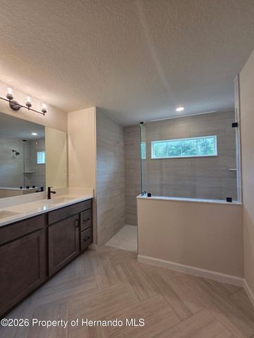 11114 Woodpecker Avenue, Brooksville, FL 34614