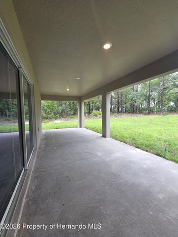 11114 Woodpecker Avenue, Brooksville, FL 34614
