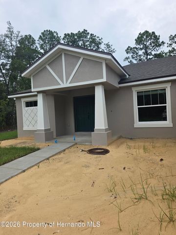 11114 Woodpecker Avenue, Brooksville, FL 34614