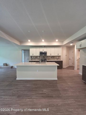 11114 Woodpecker Avenue, Brooksville, FL 34614