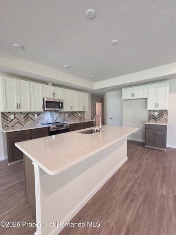 11114 Woodpecker Avenue, Brooksville, FL 34614