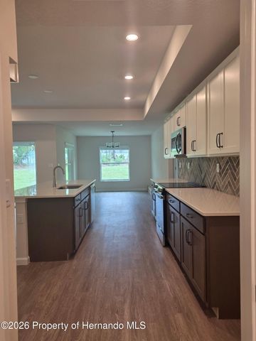 11114 Woodpecker Avenue, Brooksville, FL 34614