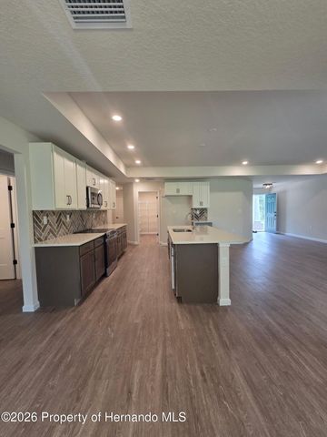 11114 Woodpecker Avenue, Brooksville, FL 34614