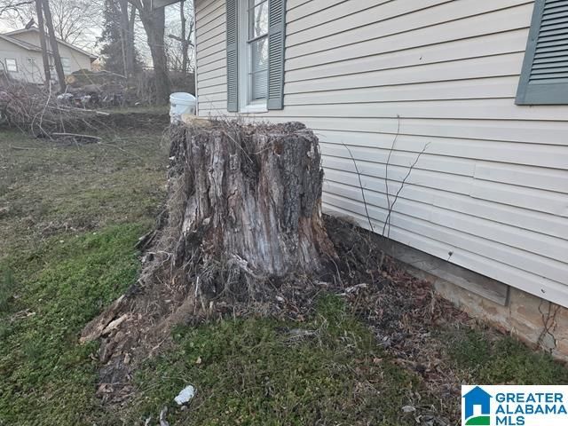 209 BAYVIEW DRIVE, Adamsville, AL 35005