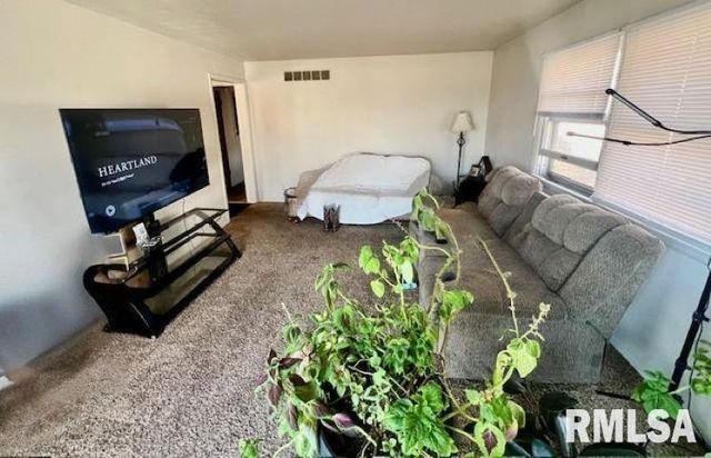 5807 S ADAMS Street, Bartonville, IL 61607