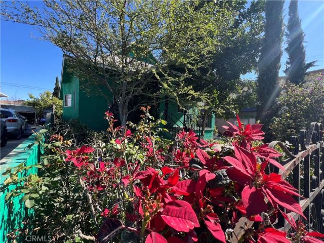 847 E 25th, Los Angeles, CA 90011