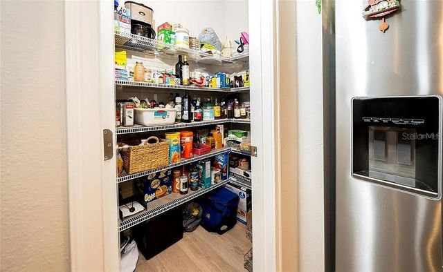 26082 WOVEN WICKER BEND, Lutz, FL 33559