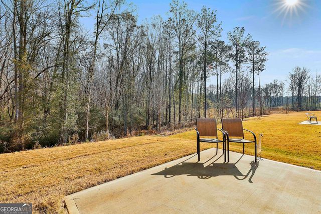 166 Woodbrook Trail, Newnan, GA 30265
