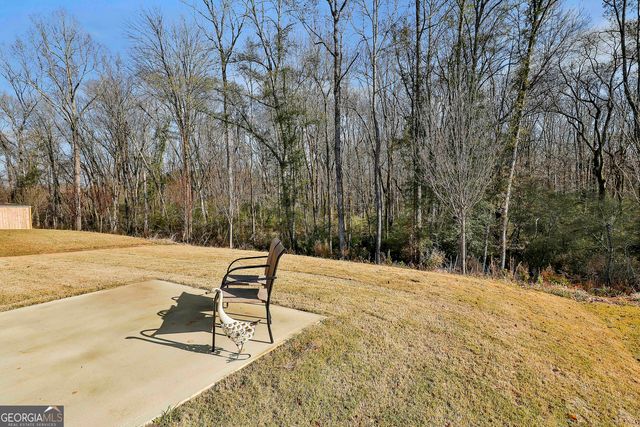 166 Woodbrook Trail, Newnan, GA 30265