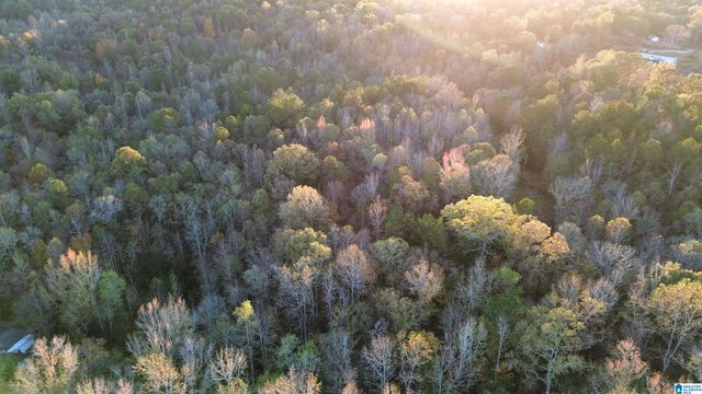 0 COOSA COUNTY ROAD 66, Goodwater, AL 35072