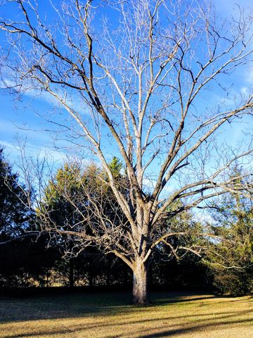 508 E Wise Street E, Trenton, SC 29847