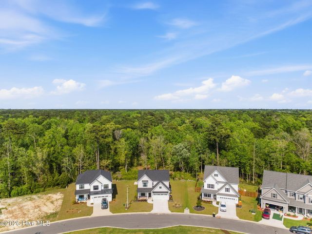 177 Tilloo Cut Way, Hampstead, NC 28443