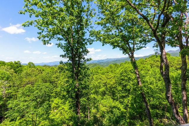 175 Pine Ridge Drive, Andrews, NC 28901