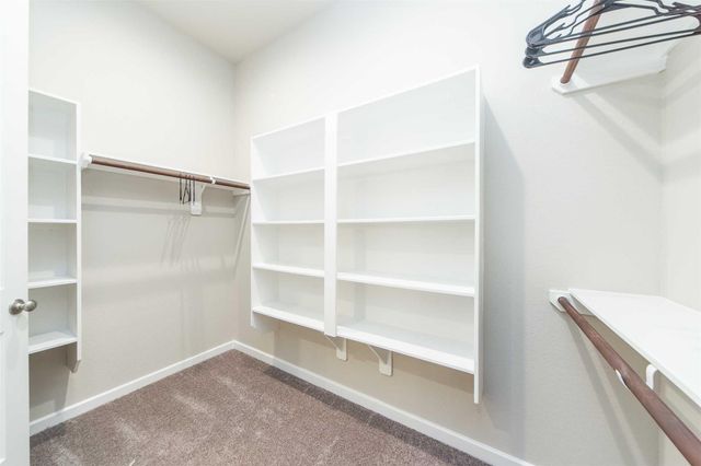 8719 Fox Trail Drive, Missouri City, TX 77459