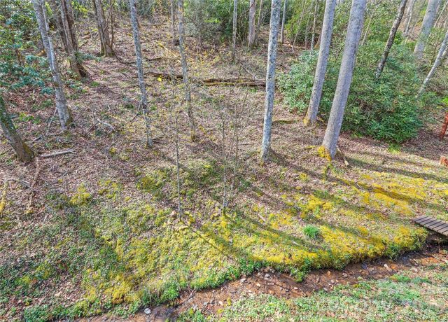 41 Trapper Lane, Waynesville, NC 28785