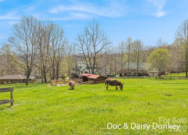 41 Trapper Lane, Waynesville, NC 28785