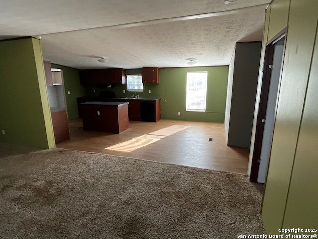 14127 Pheasant, San Antonio, TX 78223