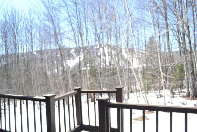 4B Newfane Cir, Dover, VT 05356