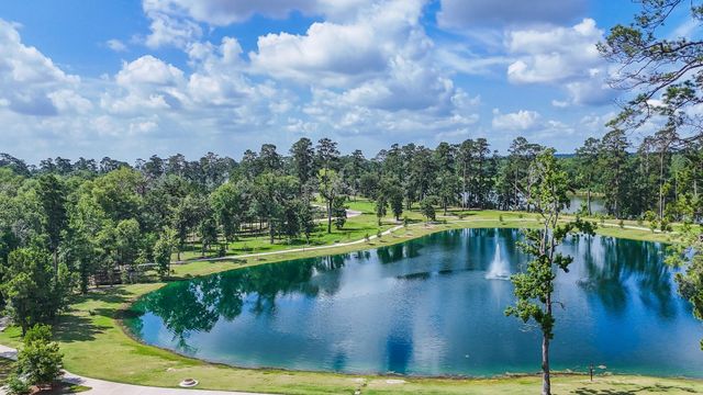 452 Texoma Plains Drive, Conroe, TX 77384