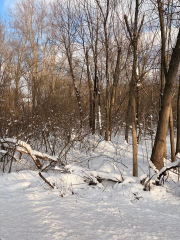 Tbd Union Avenue, Chesterton, IN 46304