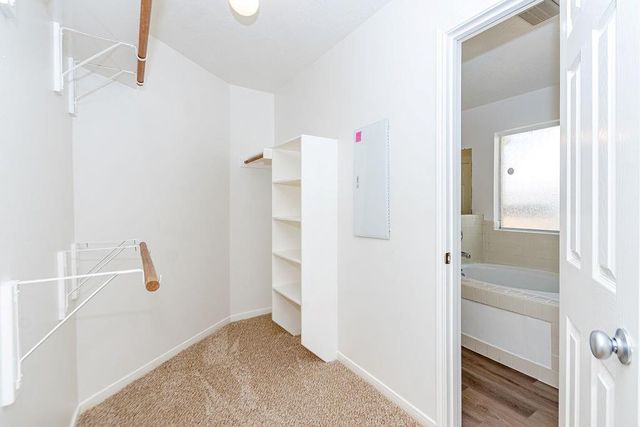 5618 Savannah Woods Lane, Rosharon, TX 77583