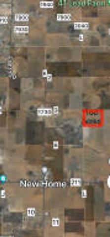 FM 1730 Cr 3, New Home, TX 79381