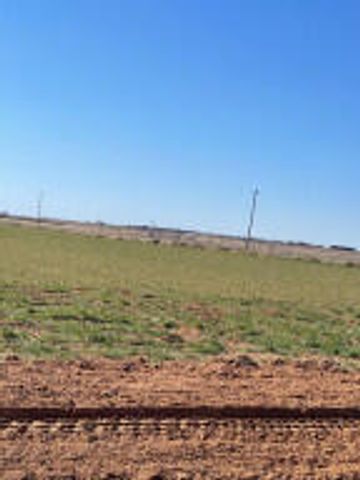 FM 1730 Cr 3, New Home, TX 79381