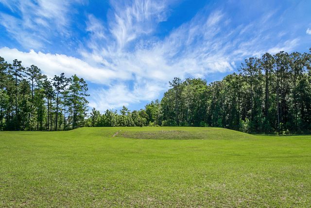 658 Black Pine Road, Moncks Corner, SC 29461
