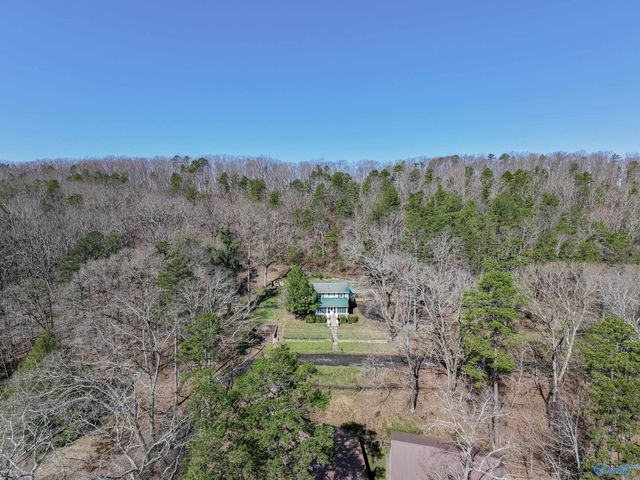 17 High Avenue, Valley Head, AL 35989