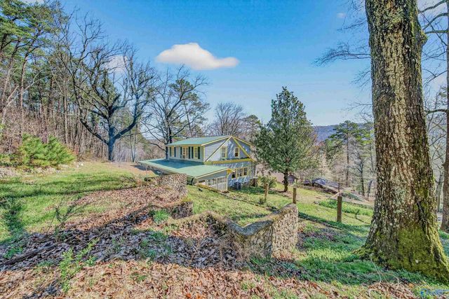 17 High Avenue, Valley Head, AL 35989