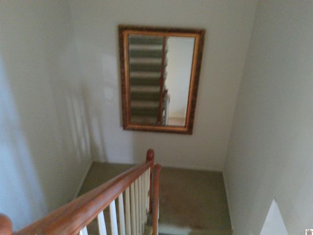 216 Ruoff Dr, Paducah, KY 42003