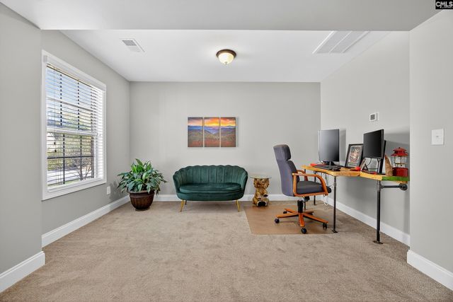 349 Bent Oak Drive, Chapin, SC 29036