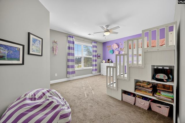 349 Bent Oak Drive, Chapin, SC 29036