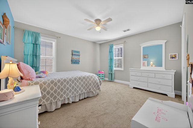 349 Bent Oak Drive, Chapin, SC 29036