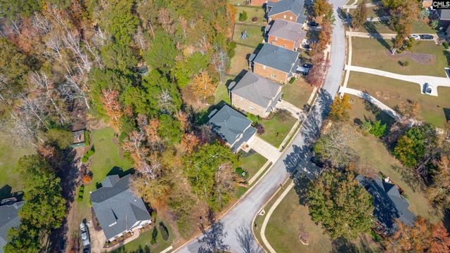 349 Bent Oak Drive, Chapin, SC 29036